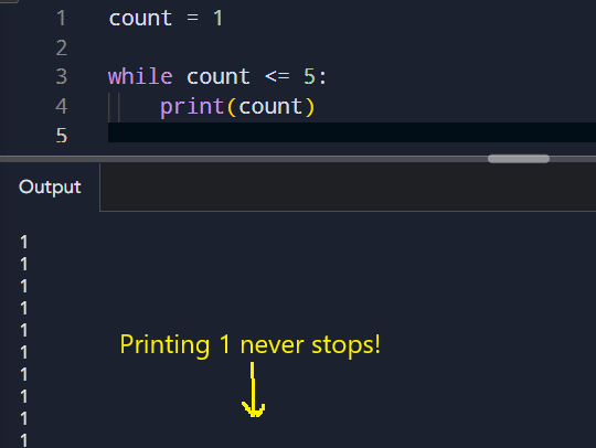 Example of an infinite while loop