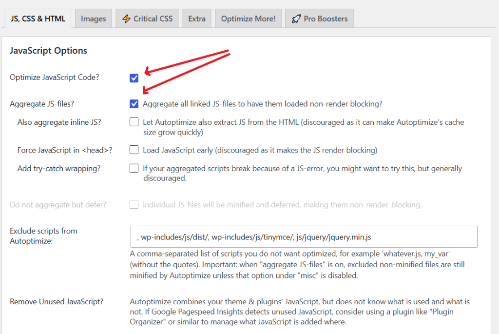 Image of the JavaScript Options section
